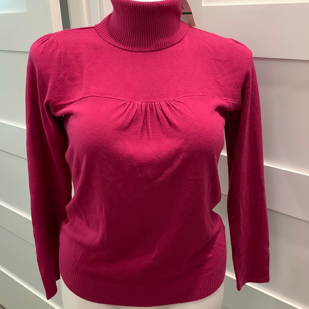 NWT Luxe 360 Turtleneck Sweater Size L